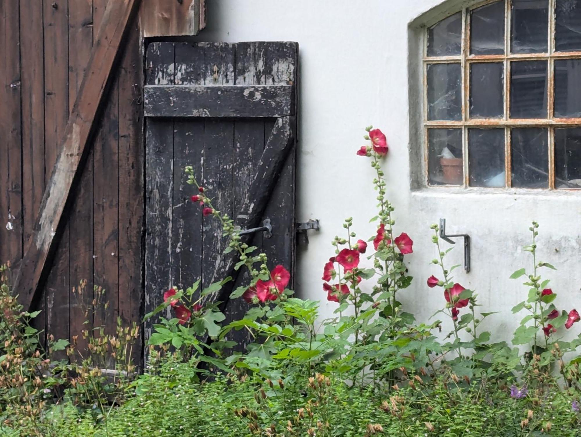 Lejlighed Ved Skov Graested Exterior photo