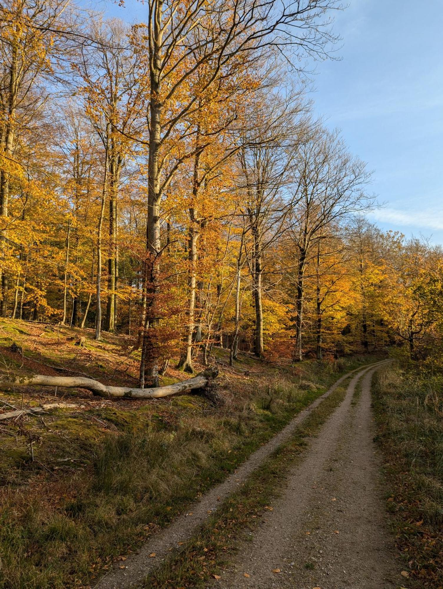 Lejlighed Ved Skov Graested Exterior photo